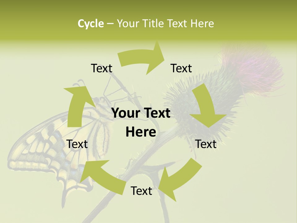 Prime Wing Animal PowerPoint Template