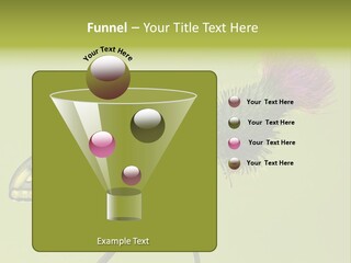 Prime Wing Animal PowerPoint Template