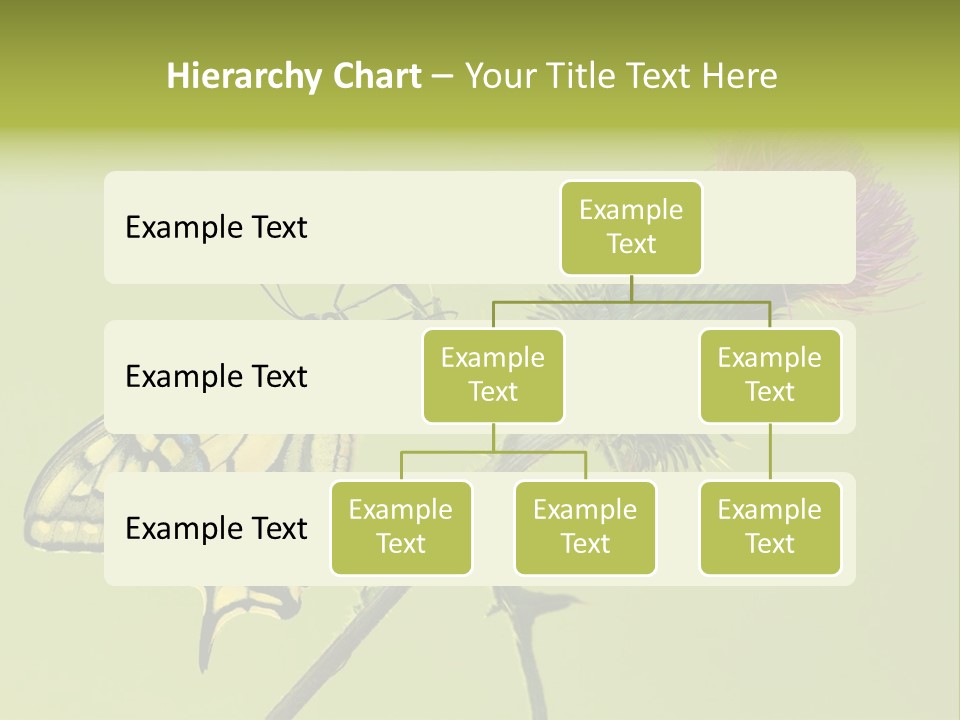 Prime Wing Animal PowerPoint Template