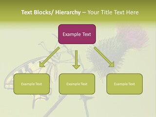 Prime Wing Animal PowerPoint Template
