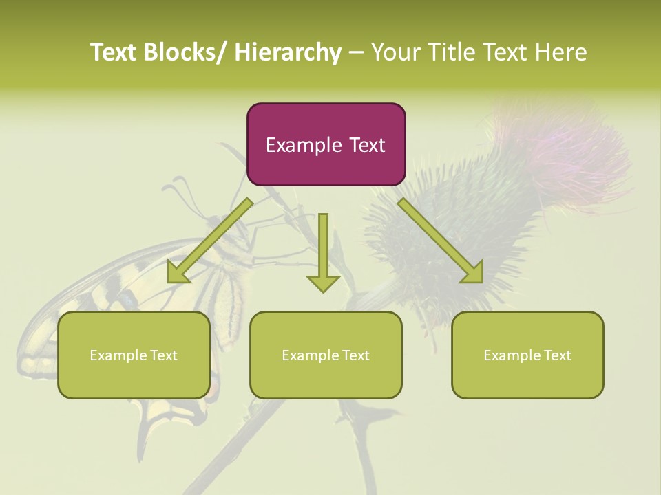 Prime Wing Animal PowerPoint Template