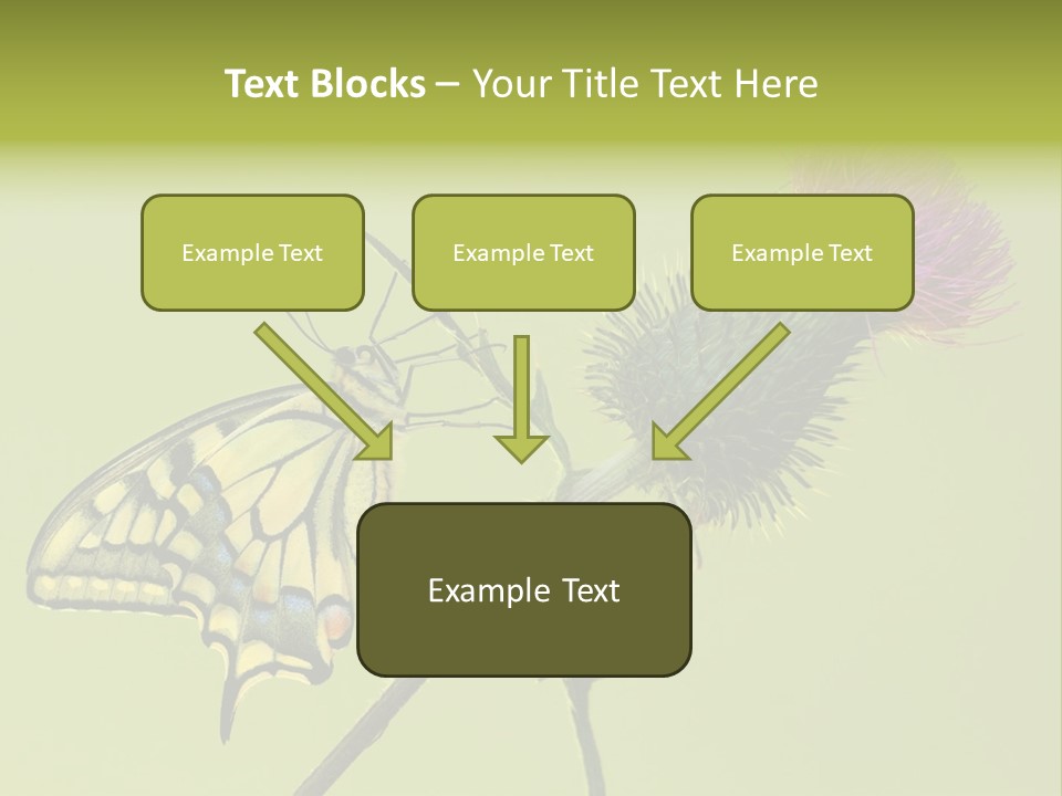 Prime Wing Animal PowerPoint Template