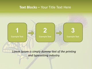 Prime Wing Animal PowerPoint Template