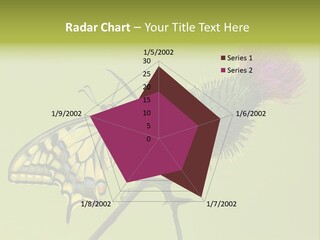 Prime Wing Animal PowerPoint Template