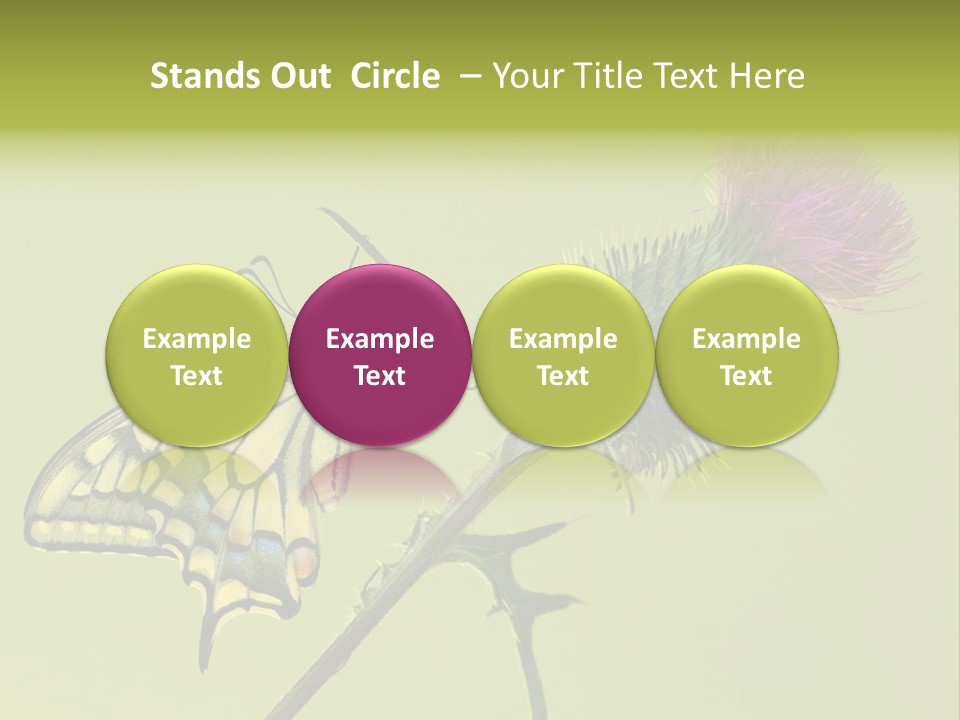 Prime Wing Animal PowerPoint Template