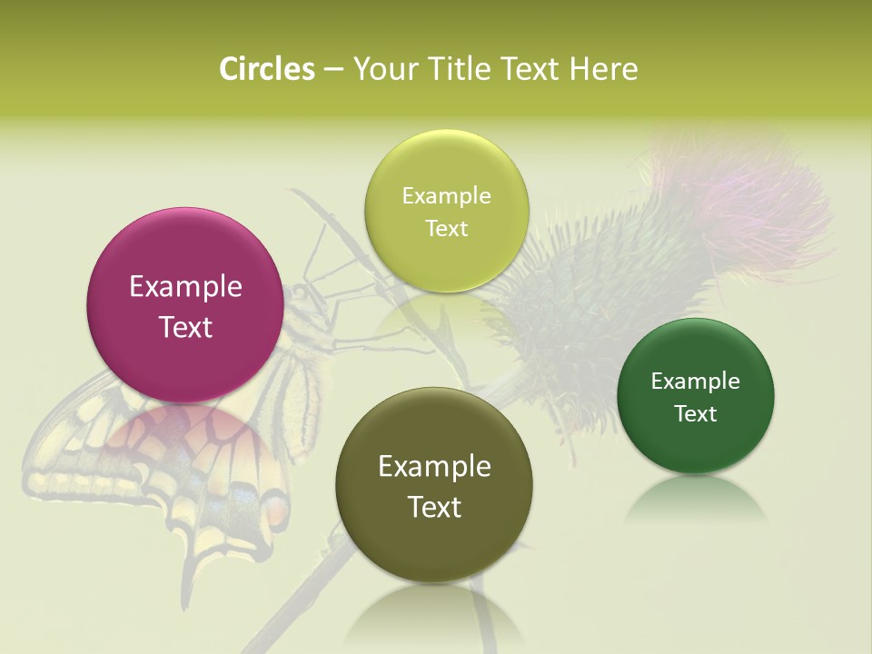 Prime Wing Animal PowerPoint Template