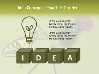 Prime Wing Animal PowerPoint Template