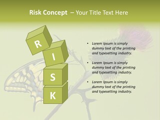 Prime Wing Animal PowerPoint Template