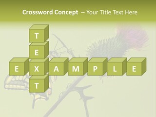 Prime Wing Animal PowerPoint Template