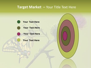 Prime Wing Animal PowerPoint Template