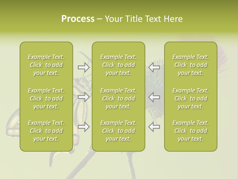 Prime Wing Animal PowerPoint Template