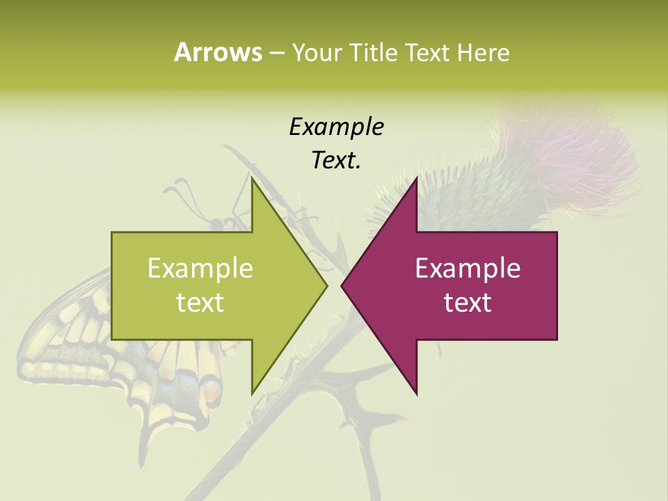 Prime Wing Animal PowerPoint Template