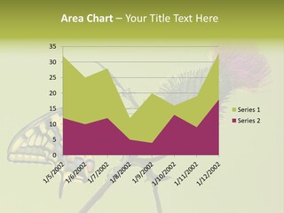 Prime Wing Animal PowerPoint Template