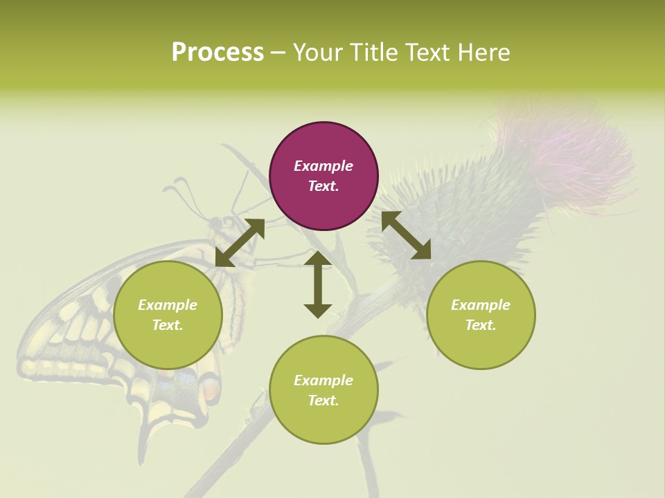Prime Wing Animal PowerPoint Template