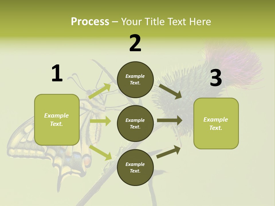 Prime Wing Animal PowerPoint Template