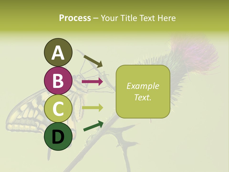 Prime Wing Animal PowerPoint Template