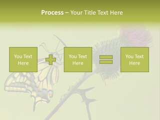 Prime Wing Animal PowerPoint Template