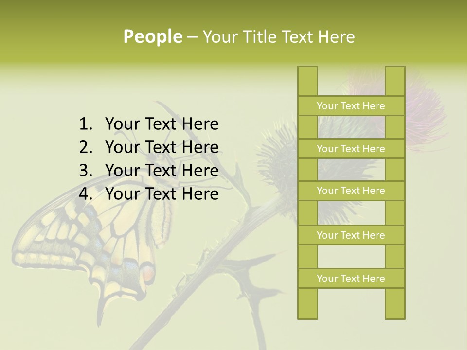 Prime Wing Animal PowerPoint Template