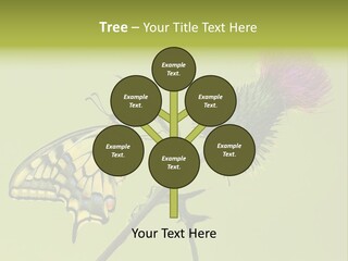 Prime Wing Animal PowerPoint Template