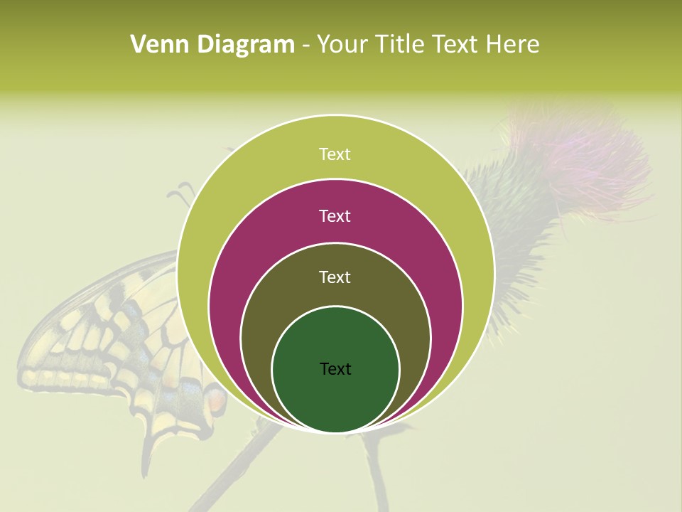 Prime Wing Animal PowerPoint Template