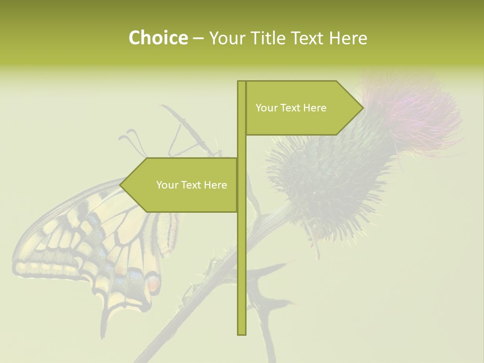 Prime Wing Animal PowerPoint Template