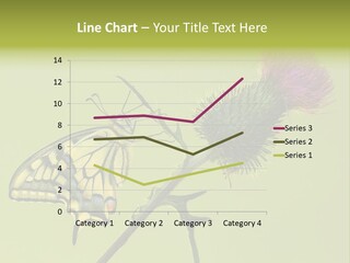 Prime Wing Animal PowerPoint Template