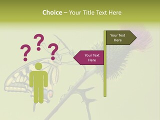 Prime Wing Animal PowerPoint Template