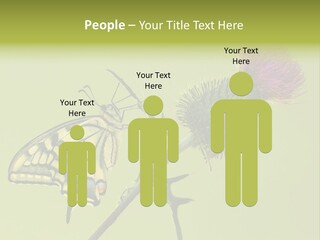 Prime Wing Animal PowerPoint Template