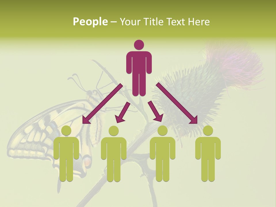 Prime Wing Animal PowerPoint Template