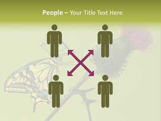 Prime Wing Animal PowerPoint Template