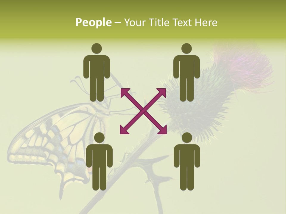 Prime Wing Animal PowerPoint Template