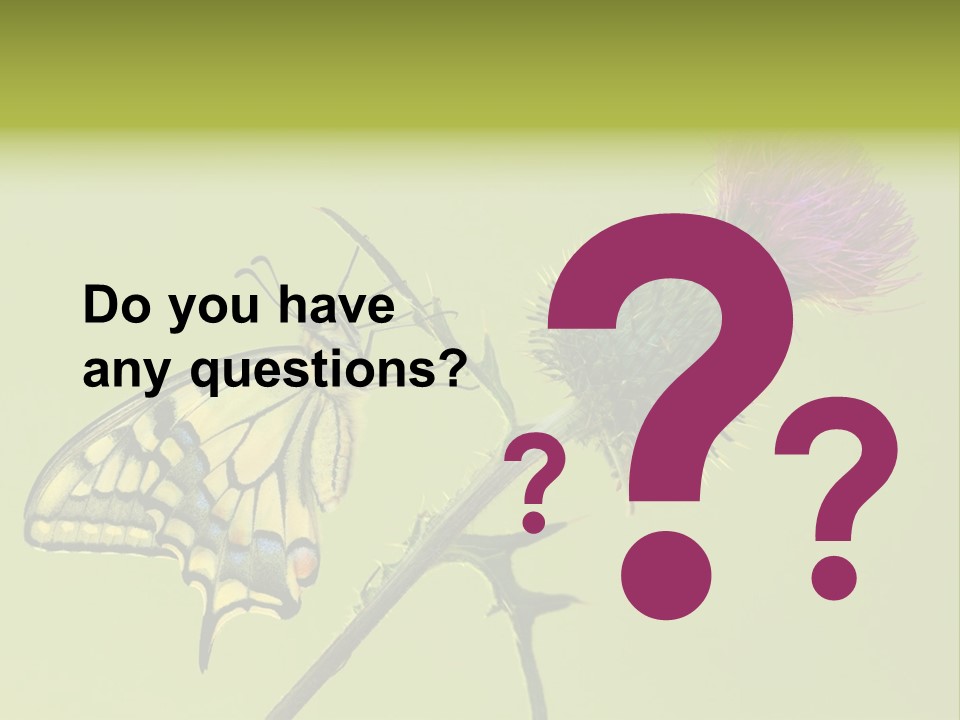 Prime Wing Animal PowerPoint Template