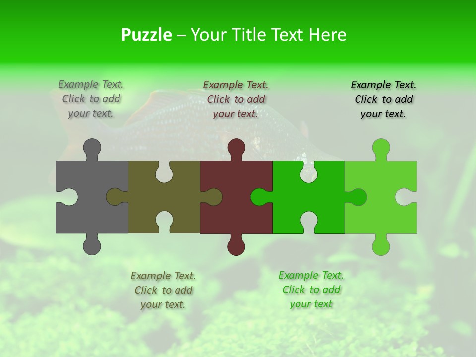 Tropical Fish Glossolepis Incisus Freshwater Aquarium PowerPoint Template