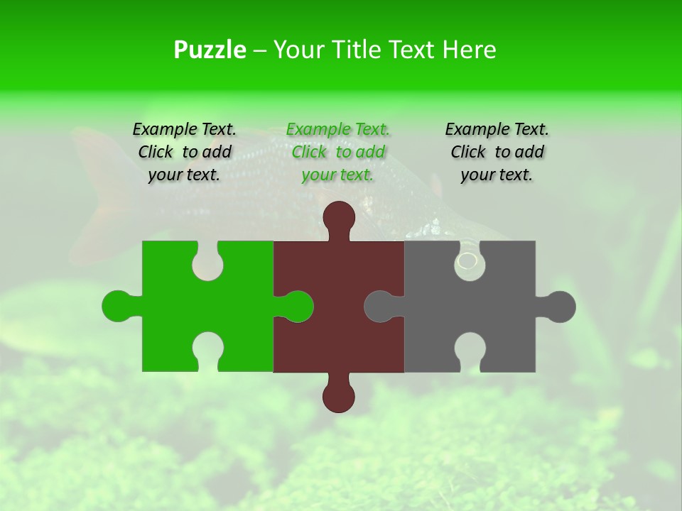 Tropical Fish Glossolepis Incisus Freshwater Aquarium PowerPoint Template