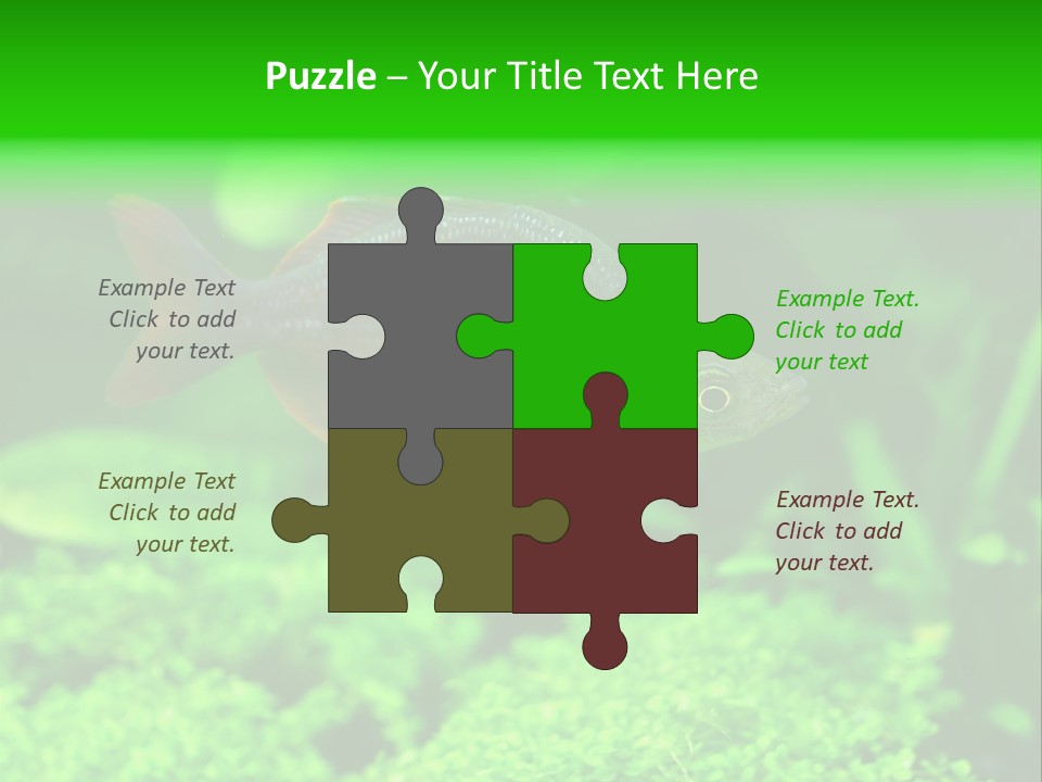 Tropical Fish Glossolepis Incisus Freshwater Aquarium PowerPoint Template