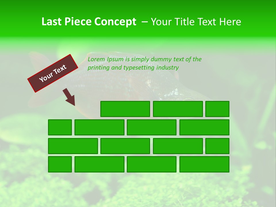 Tropical Fish Glossolepis Incisus Freshwater Aquarium PowerPoint Template