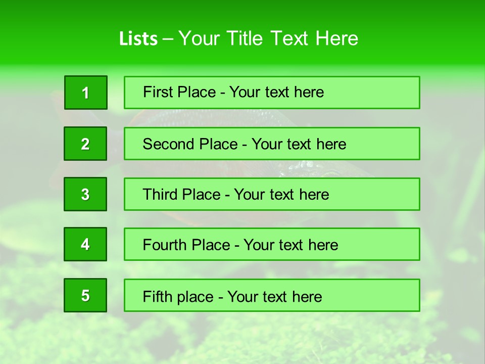 Tropical Fish Glossolepis Incisus Freshwater Aquarium PowerPoint Template