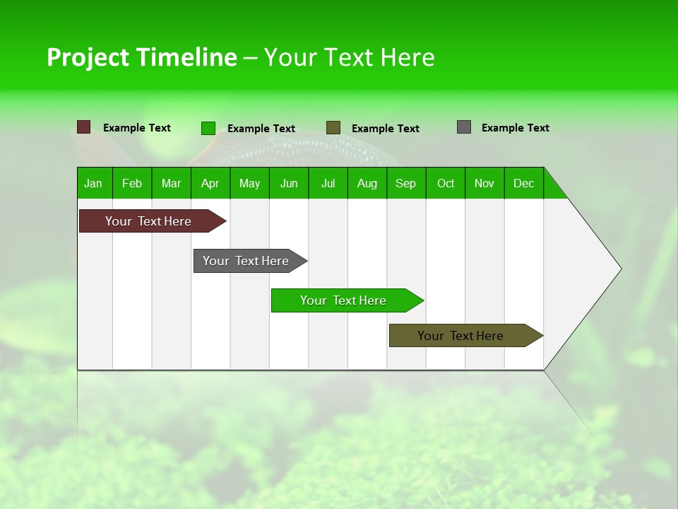 Tropical Fish Glossolepis Incisus Freshwater Aquarium PowerPoint Template