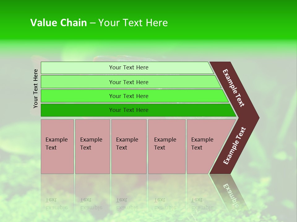 Tropical Fish Glossolepis Incisus Freshwater Aquarium PowerPoint Template