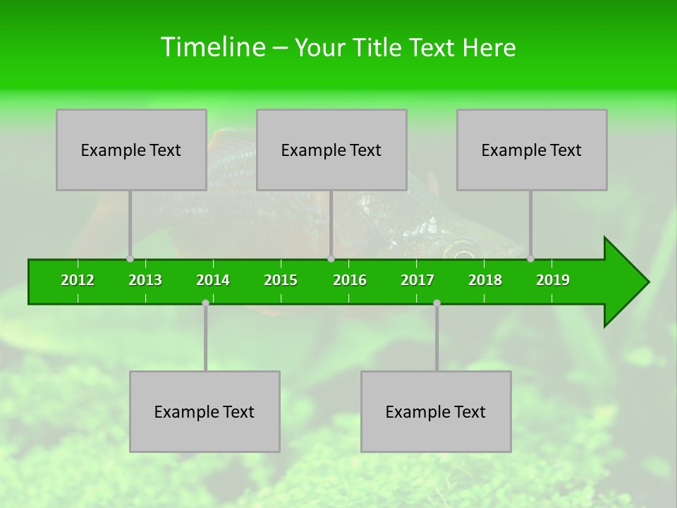 Tropical Fish Glossolepis Incisus Freshwater Aquarium PowerPoint Template