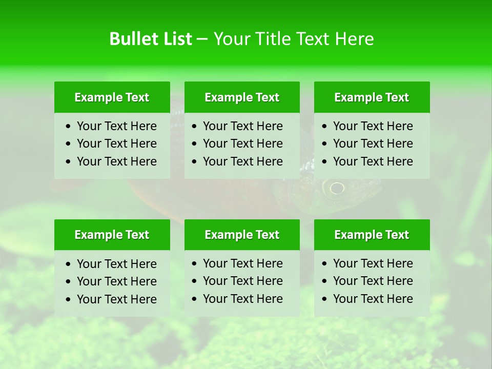 Tropical Fish Glossolepis Incisus Freshwater Aquarium PowerPoint Template