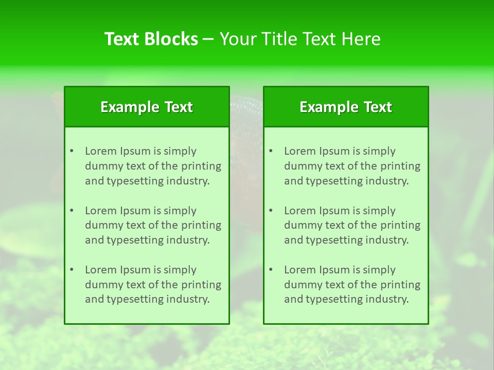 Tropical Fish Glossolepis Incisus Freshwater Aquarium PowerPoint Template