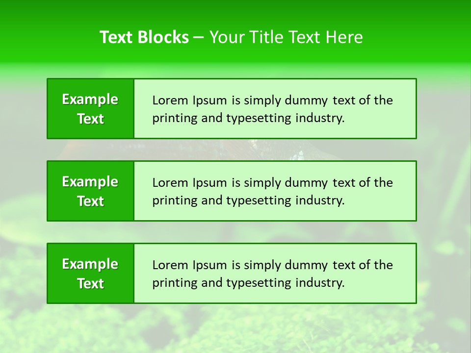 Tropical Fish Glossolepis Incisus Freshwater Aquarium PowerPoint Template