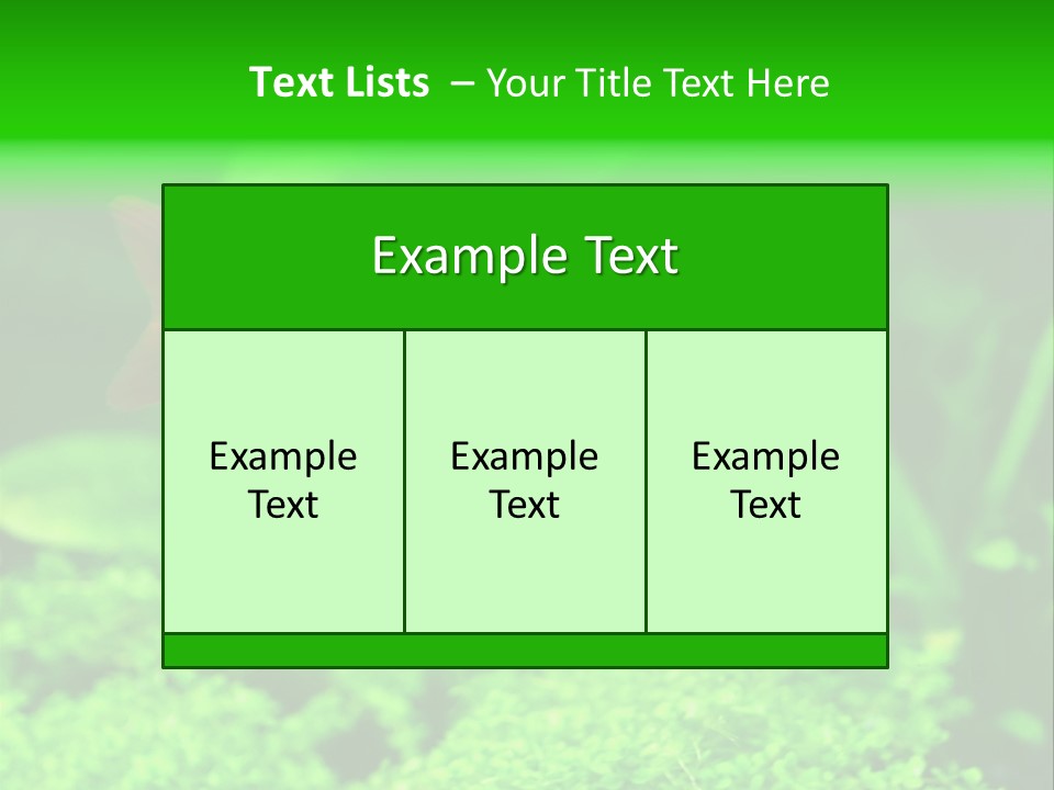 Tropical Fish Glossolepis Incisus Freshwater Aquarium PowerPoint Template