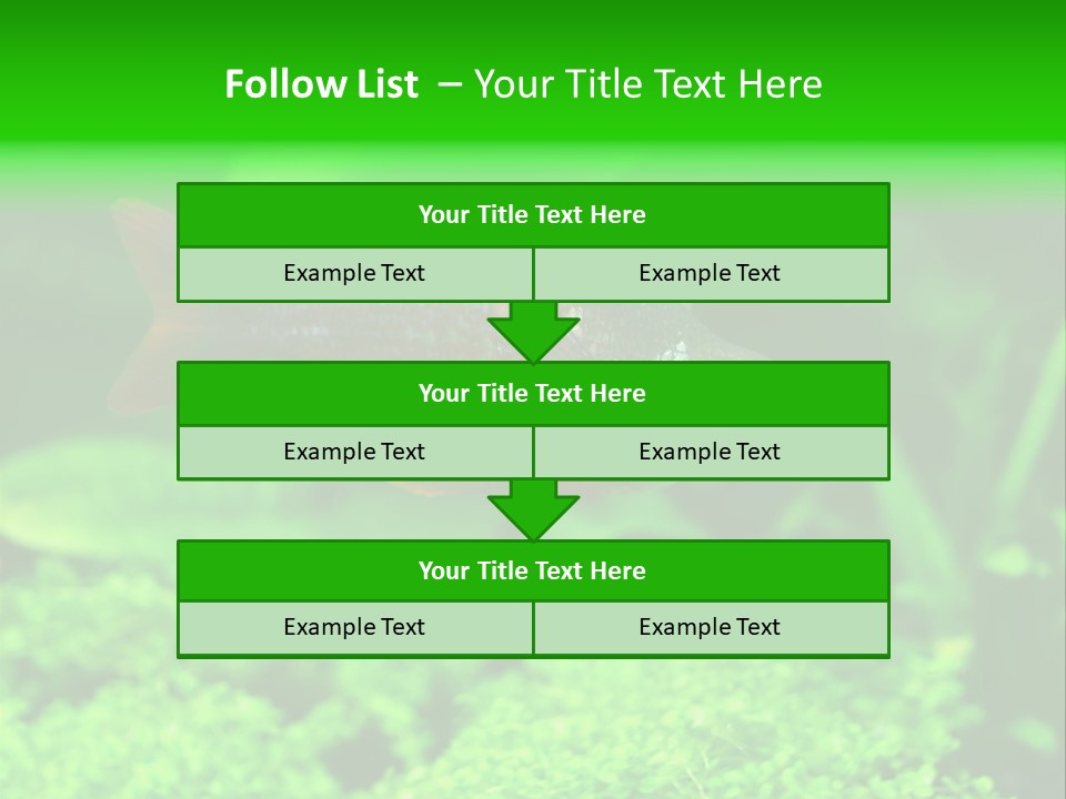 Tropical Fish Glossolepis Incisus Freshwater Aquarium PowerPoint Template