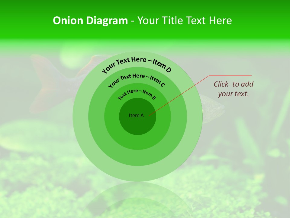 Tropical Fish Glossolepis Incisus Freshwater Aquarium PowerPoint Template