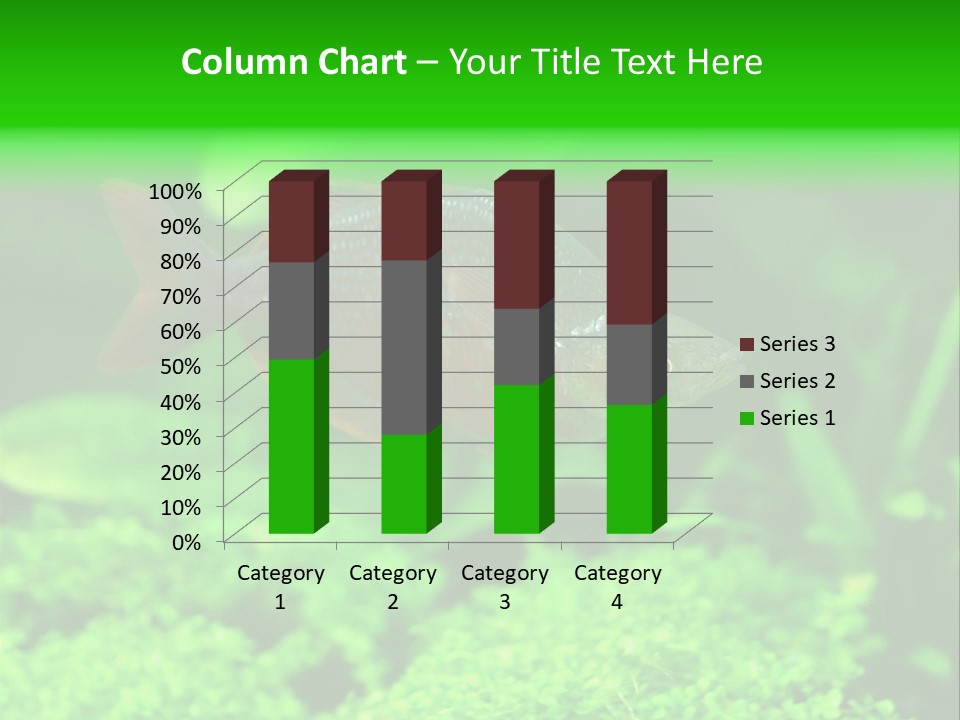 Tropical Fish Glossolepis Incisus Freshwater Aquarium PowerPoint Template