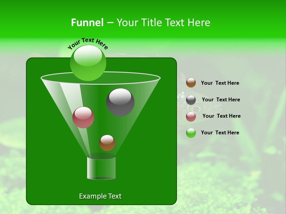 Tropical Fish Glossolepis Incisus Freshwater Aquarium PowerPoint Template