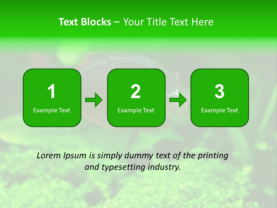 Tropical Fish Glossolepis Incisus Freshwater Aquarium PowerPoint Template