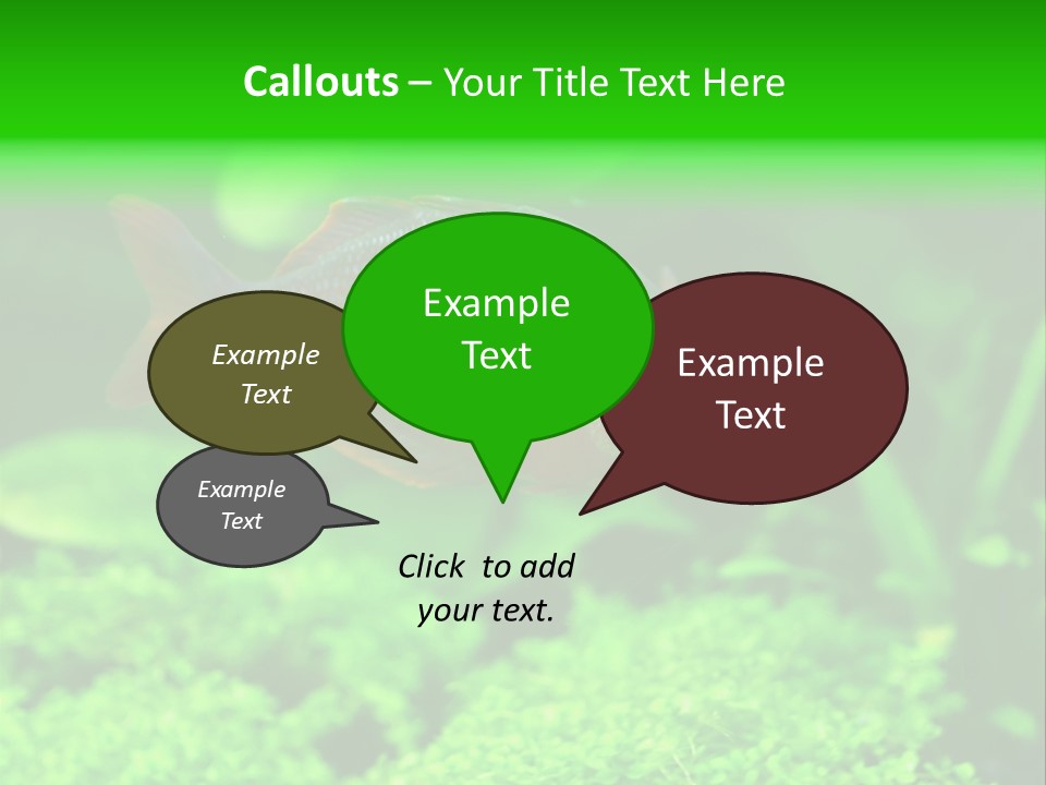 Tropical Fish Glossolepis Incisus Freshwater Aquarium PowerPoint Template